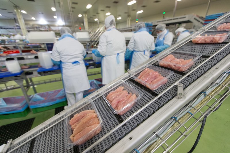 Arbeit in der Fleischindustrie
